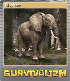 Elephant