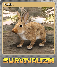 Rabbit