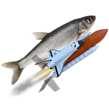Steam Community Market :: Listings for Fish on Rocket