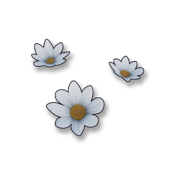 RESULTS FOR PURPLE DAISY CLASS STEAM COMMUNITY visual data 2