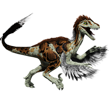 Steam Community Market :: Listings for Rare Calico Feathered Novaraptor