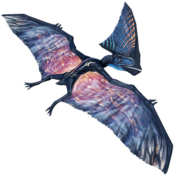 Steam Community Market :: Listings for Rare Sunburst Tupa