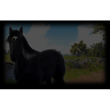 Ostwind (Profile Background)