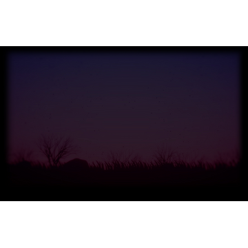 Gradient (Profile Background)