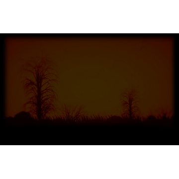 Desert (Profile Background)