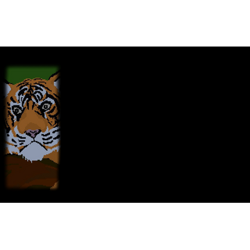 Sumatran Tiger (Profile Background)