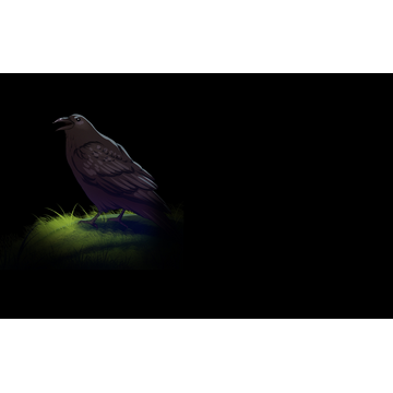 Lurking Raven
