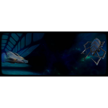 Astral Traveler and Beetle