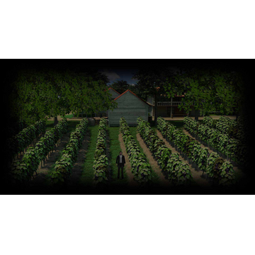 Wine (Profile Background)