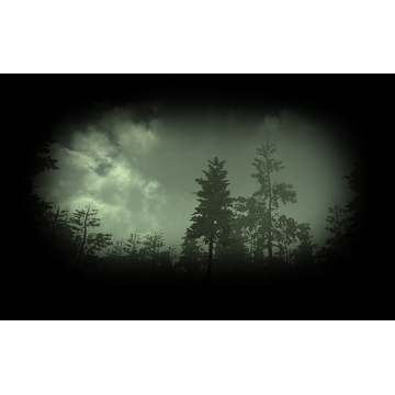 Fokkhoff Campground Profile Background