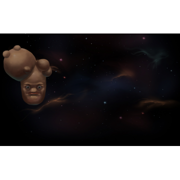 Paradigm in the Multiverse