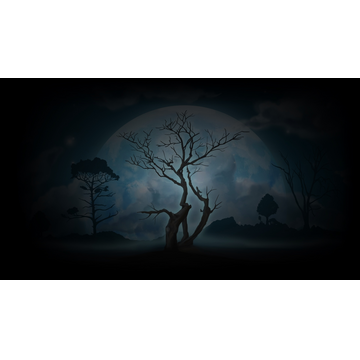 Blue Forest (Profile Background)