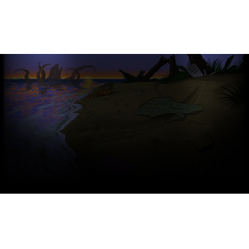 Beach (Profile Background)