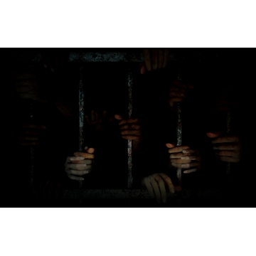 Prison Bars