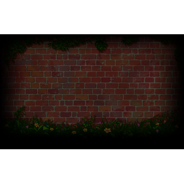 Red Wall Covered with Vines