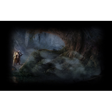 The Swamp of Desolation