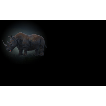 Rhinoceros (Profile Background)