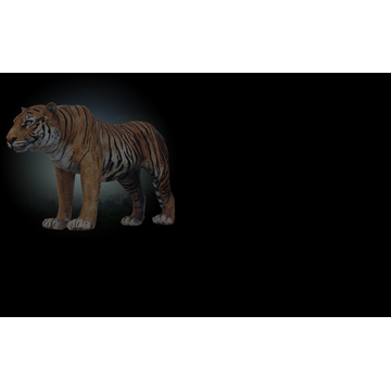 Bengal Tiger (Profile Background)