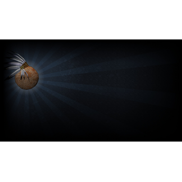 Tomato Indian (Profile Background)