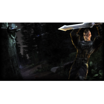 Vanderbilt Cosortium