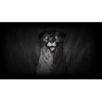 Puma (Profile Background)