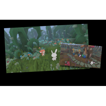 Developer Background