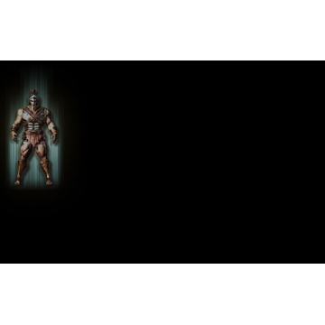 The nameless warrior