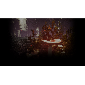 Mushroom (Profile Background)