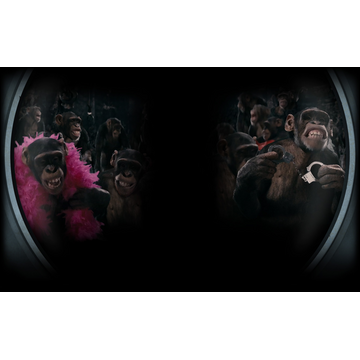 The Monkey Love Chamber!