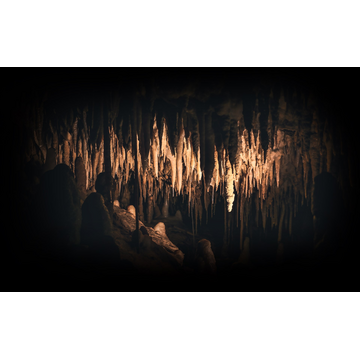 Cave (Profile Background)