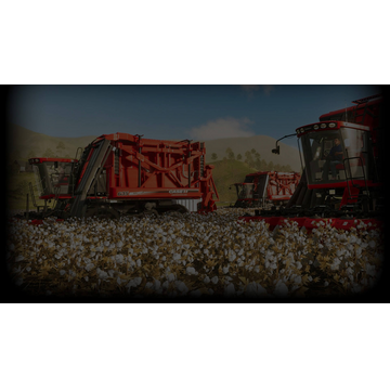 Cotton harvesting