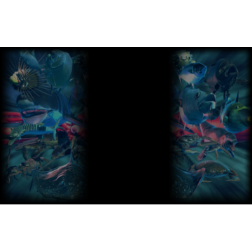 Ace of Seafood (Profile Background)