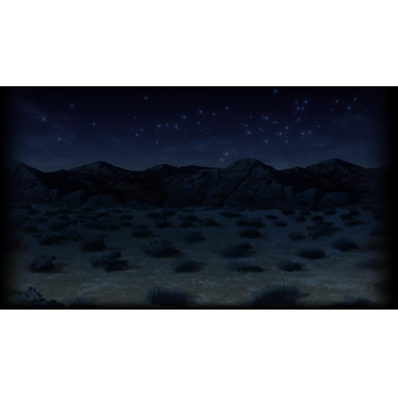 Nighttime Desert
