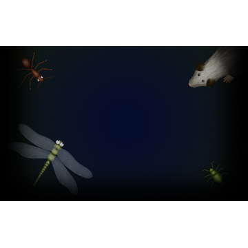 Cretaceous Creatures