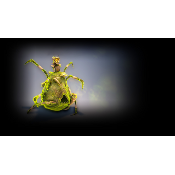 Infector (Profile Background)