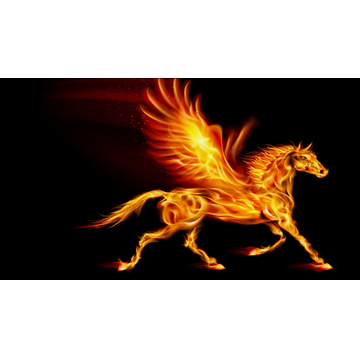 Element of Fire Pegasus