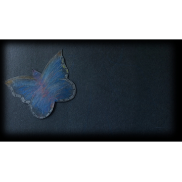 BlueButterfly