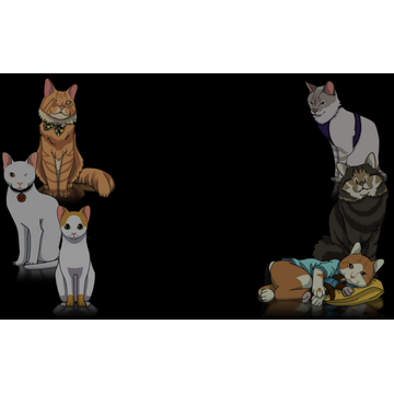 Special needs kitties