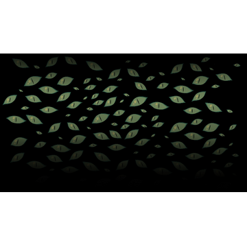 Eyes if the Darkness