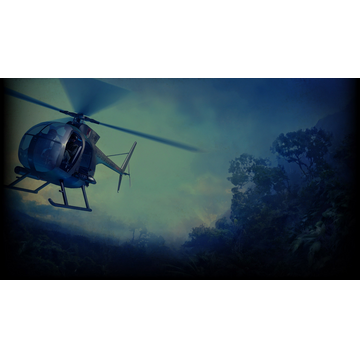 Littlebird over the jungle