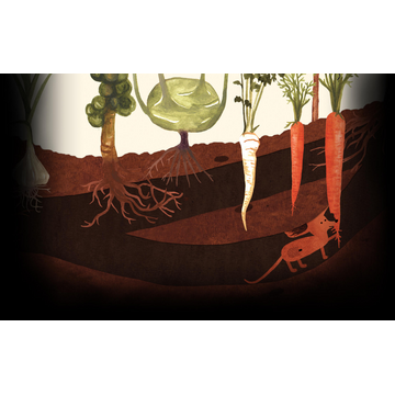 Garden (Profile Background)