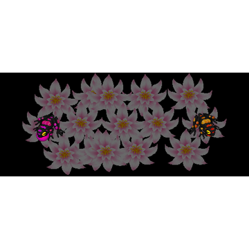 Space Moth DX - Lotus Frogs