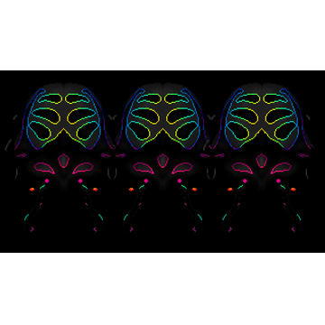 Space Moth DX - Pepper Beetles