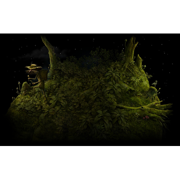 Mushroom Picker (Profile Background)