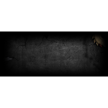 Horror in the Asylum