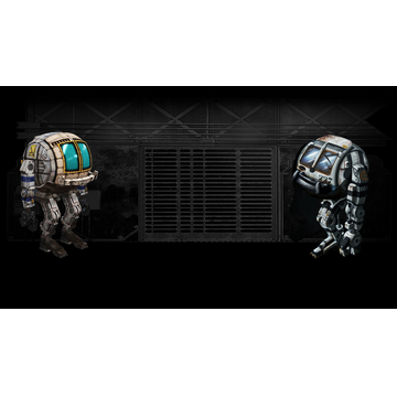 Reflection of the past