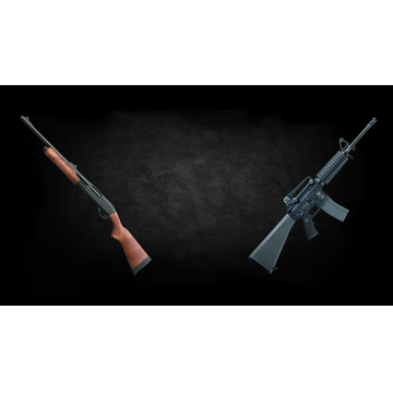 Shotgun & M16