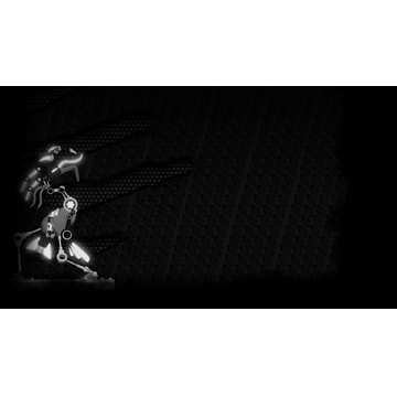 Flamingo Rising (Profile Background)