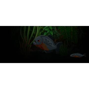 Piranhas
