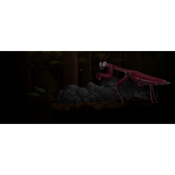 Mantis (Profile Background)